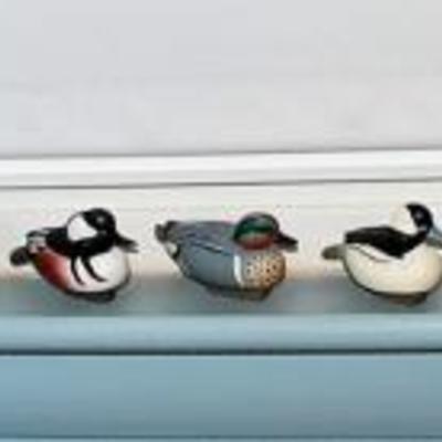 Signed Duck Collection