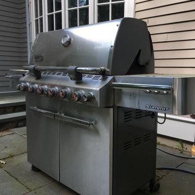 Weber Summit Gas Grill