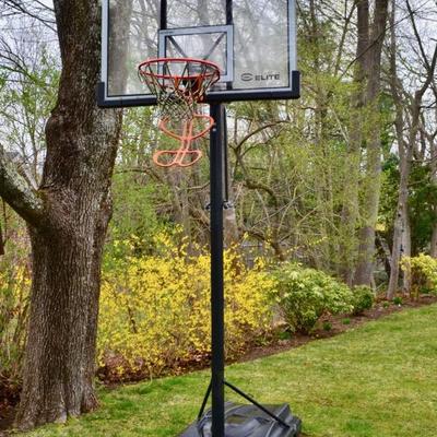 Lifetime Elite basketball hoop
