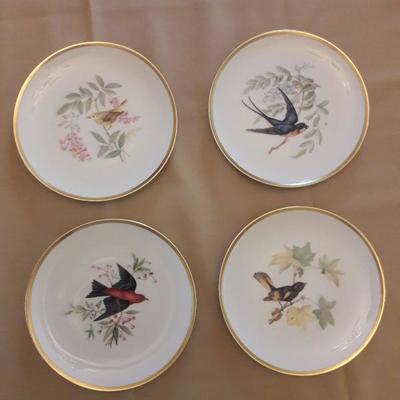 Bird plates 