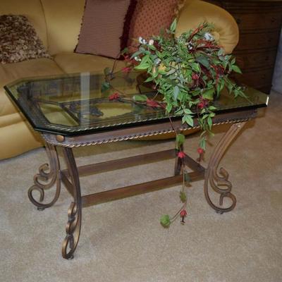 Coffee Table & Artificial Plant