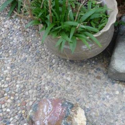 Potted plant and garden rock