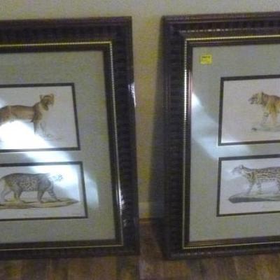 Pair of framed and matted tiger prints

