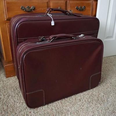 Vintage Two-piece Leather Luggage Set