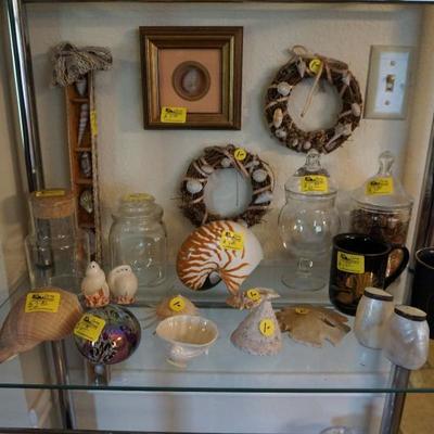 Assorted Sea Shell Collectibles and other miscellaneous items