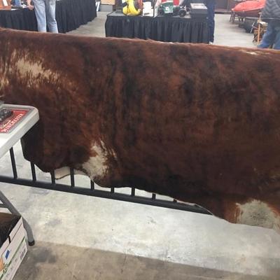 Cow Hide