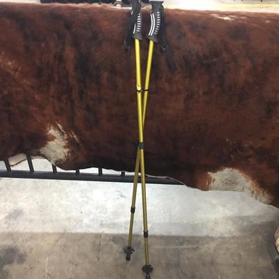 Adjustable Aluminum Walking Sticks