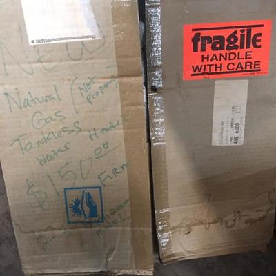Ecotemp Tankless Hot Water Heater