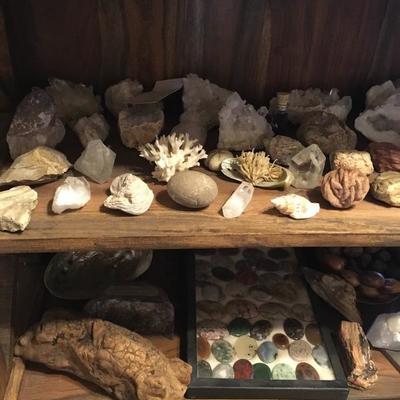 Calling all Rockhounds!   Interesting selection of rocks and geodes. Books on rock cutting; Rock cutter; Jewelry made with the cut stones.