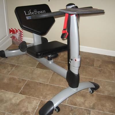 Life Span Partner stretch machine