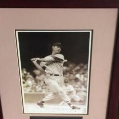 Ted Williams collectors Photo/Stats taken in the 