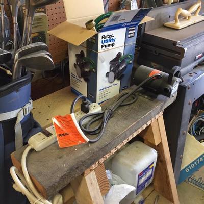 Utility pump