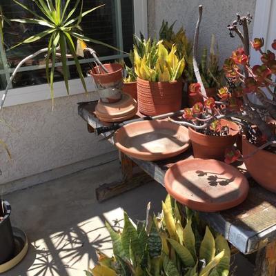 Potted plants, tool, fertilizers, weed killers