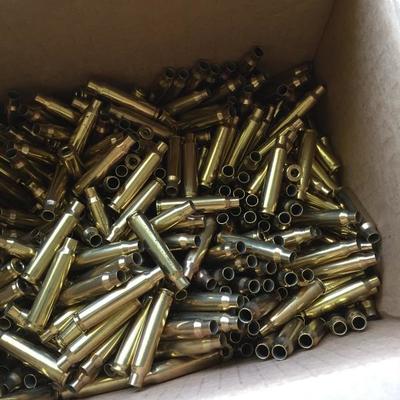 Shells galore for reloading 