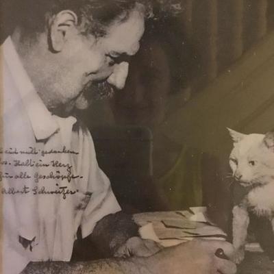 Albert Schweitzer with Cat. Signed
