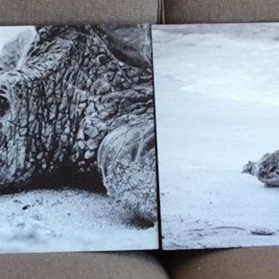 WWL011 Pictures Plus Turtle Beach Chromaluxe Prints