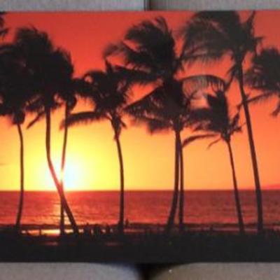 WWL004 Pictures Plus Beautiful Hawaiian Sunset 
