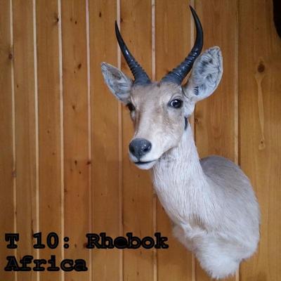 T10: Rhebok, Africa