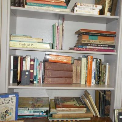Elegant library of leather bound books; many antiques; volumes in French and German