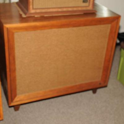VINTAGE BOZAK FLOOR SPEAKERS 
