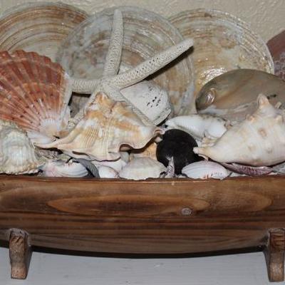 Great Wood Oval Bowl displayed with a Treasure of Seashells