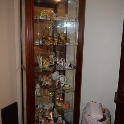 Curio Cabinet & Collectibles