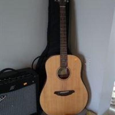 Breedlove acoustic guitar with case