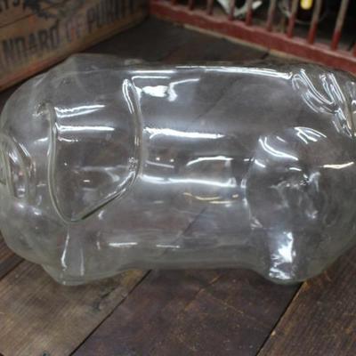 5 Gal Glass Pig