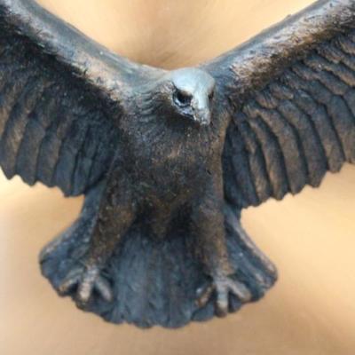 Eagle on Picture