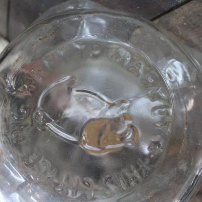 5 Gal Glass Pig