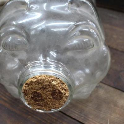 5 Gal Glass Pig
