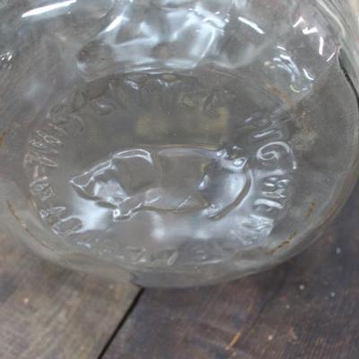 5 Gal Glass Pig
