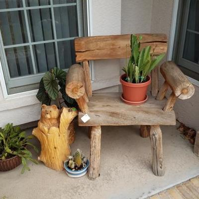 Rustic Chair and Plants