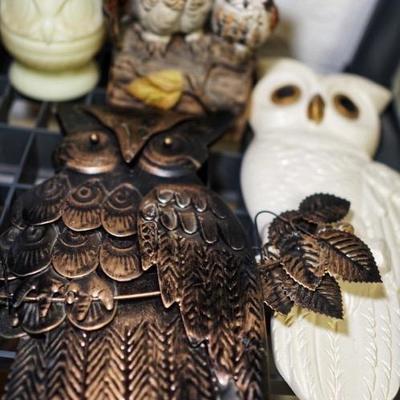 Owl collection!