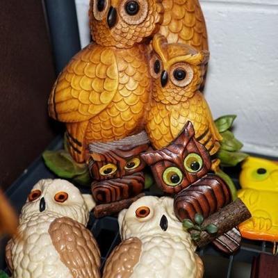 Owl collection!
