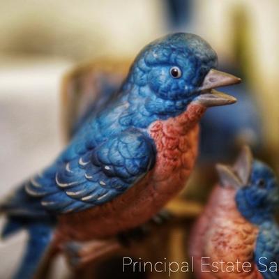 Blue Birds