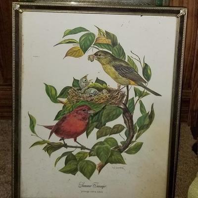 Vintage W.D. Gaither Offset Lithograph 11x14 Birds Print Wildlife Color Signed