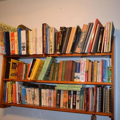 Books & Display Shelf
