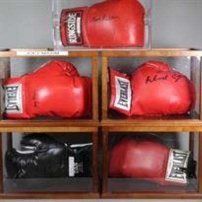 Various Hand Signed Boxing Gloves