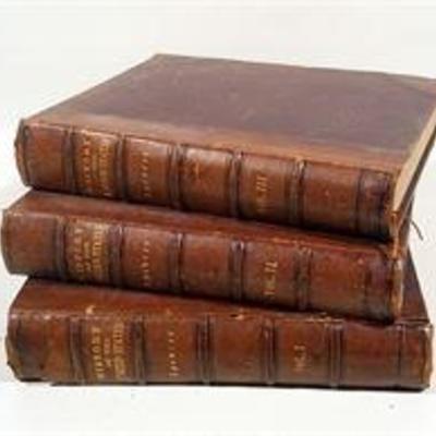 Three volume set of the History of the United States.