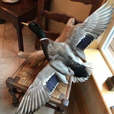 Duck on bark. $55