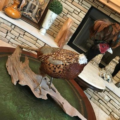  pheasant on bark. $75