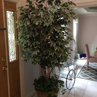 Large artificial tree.