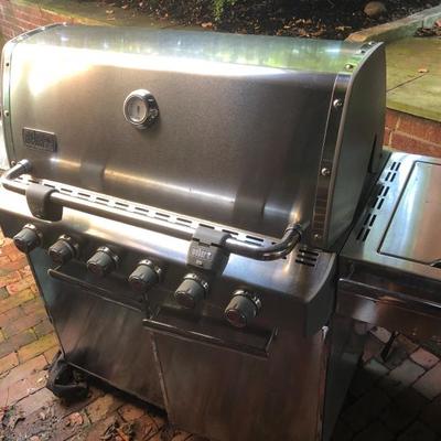 Weber Summit Natural Gas Stainless Grill