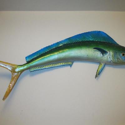 Fish taxidermy