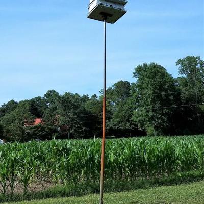 Birdhouse and Tall Pole for Purple Martin Birds