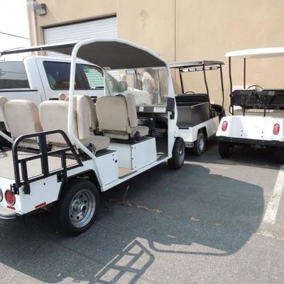 Multiple Electric golf carts
