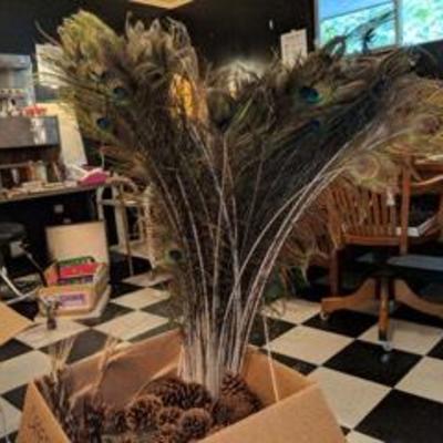 Peacock feathers and pinecones.