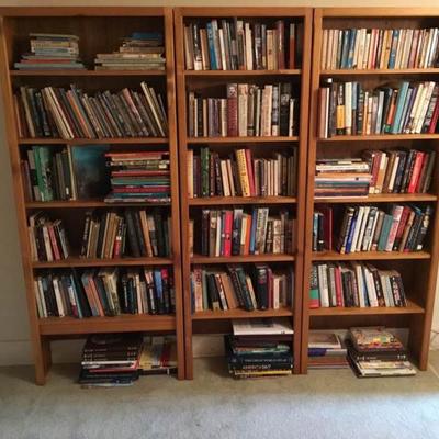 Bookshelves with Books
