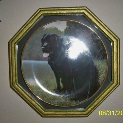 Black Labrador Plate